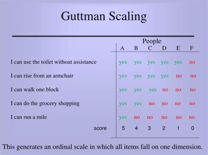 About Joseph Guttman - An SEO Expert With Proven Results
