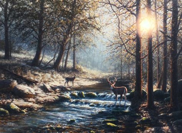 Connect With Renowned Artist Dennis Fennell