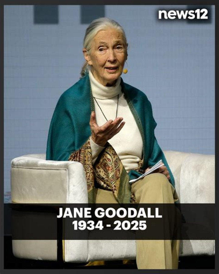 Jane Adonizio - The Renowned Expert And Author