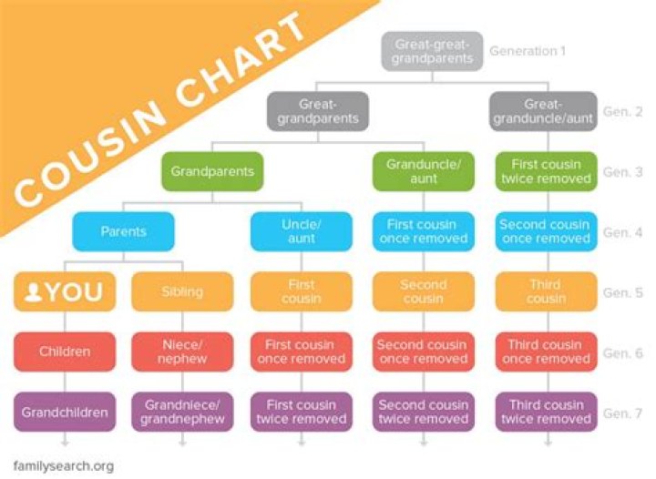 Peri Cousins: A Guide To Understanding Your Extended Family