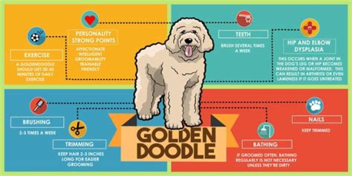 The Ultimate Goldendoodle Emoji Guide: Unleash Your Canine Charm