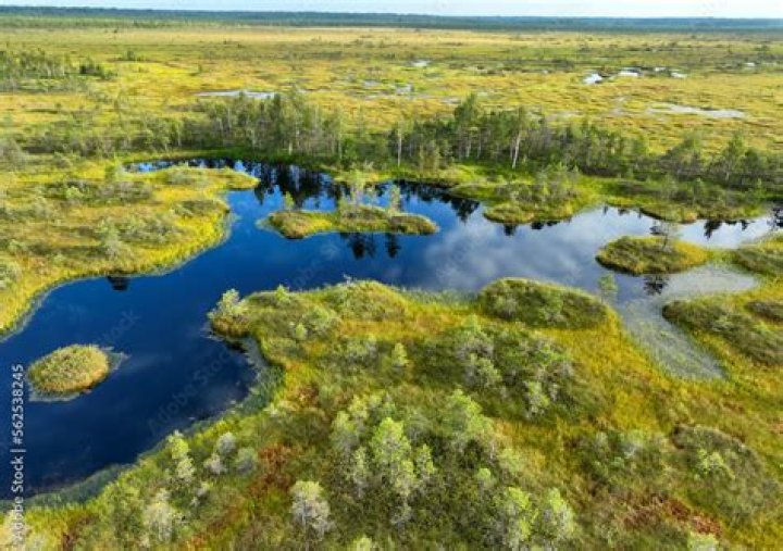 Ultimate Guide To Navigating The Pinsk Marshes: Interactive Map