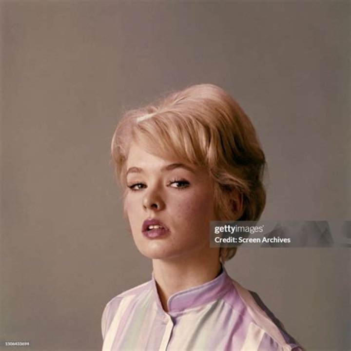 Unveiling The Enchanting World Of Actress Joey Heatherton